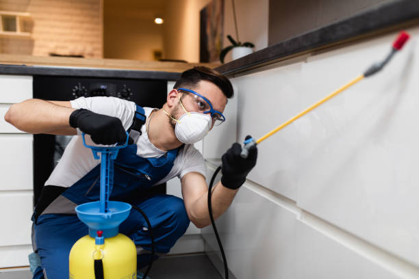 Best Cockroach Control Services  in Buffalo, OK
