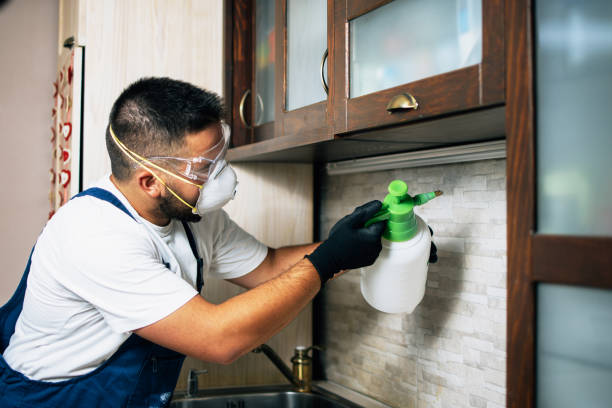 Best Rat Extermination Near Me  in Buffalo, OK