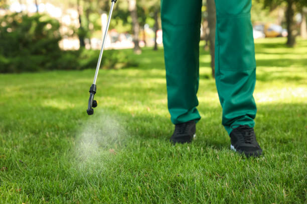 Best Best Pest Control Companies  in Buffalo, OK